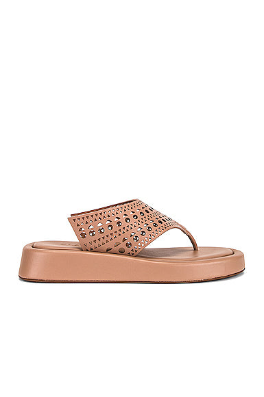 Vienne Thong Platform Sandals