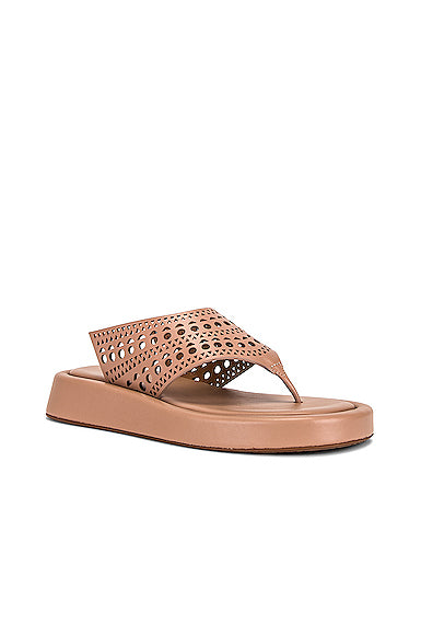 Vienne Thong Platform Sandals