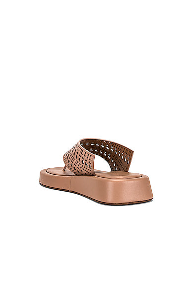 Vienne Thong Platform Sandals