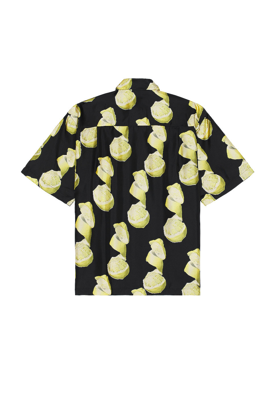 Hawaii Shirt